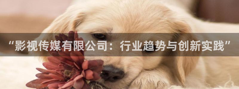 免费浮力电影：“影视传媒有限公司：行业趋势与创新实践”