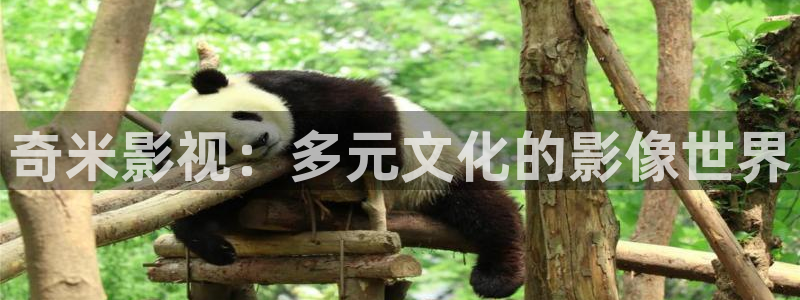 浮力影院最新版本：奇米影视：多元文化的影像世界