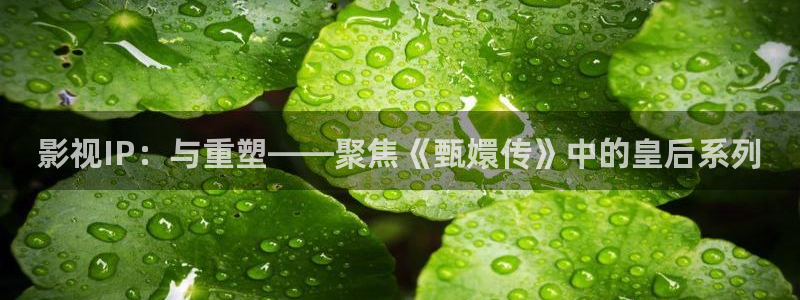 浮力影院在线免费观看：影视IP：与重塑——聚焦《甄嬛传》中的皇后系列