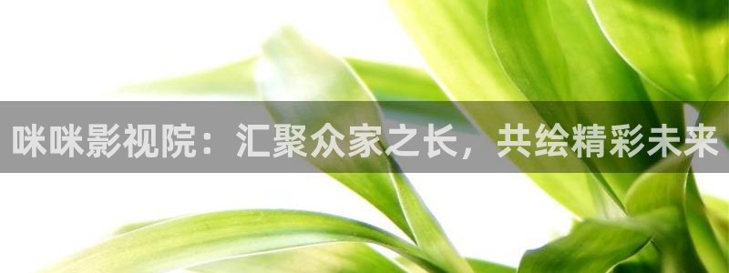 浮力影院一最新地此：咪咪影视院：汇聚众家之长，共绘精彩未来