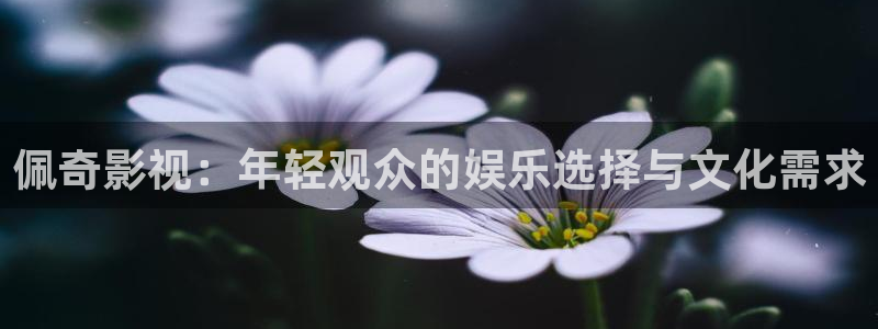 浮力影院在线观看：佩奇影视：年轻观众的娱乐选择与文化需求
