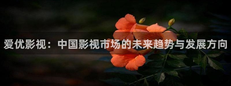浮力影院最新：爱优影视：中国影视市场的未来趋势与发展方向