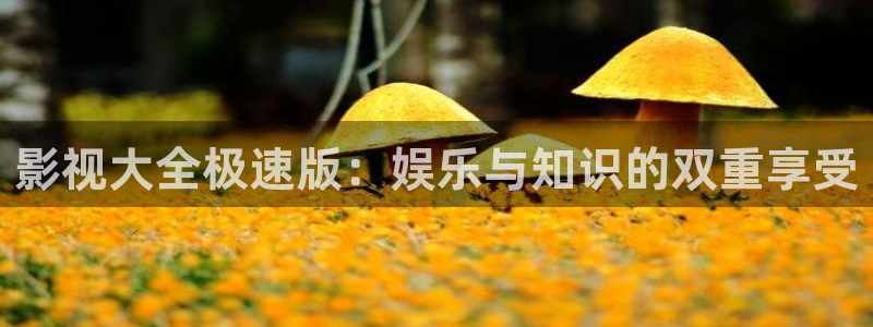 免费浮力影院：影视大全极速版：娱乐与知识的双重享受