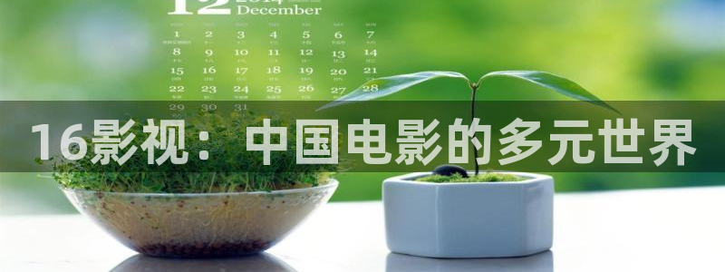 浮力影院2020：16影视：中国电影的多元世界